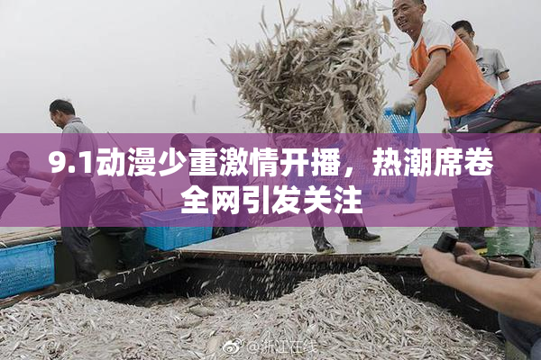 9.1动漫少重激情开播，热潮席卷全网引发关注