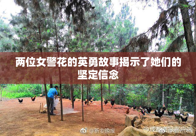 两位女警花的英勇故事揭示了她们的坚定信念