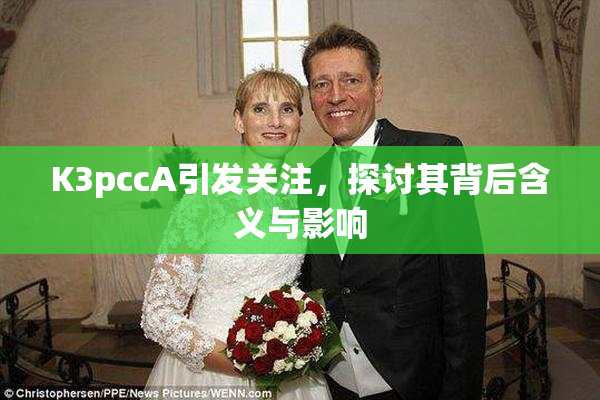 K3pccA引发关注，探讨其背后含义与影响