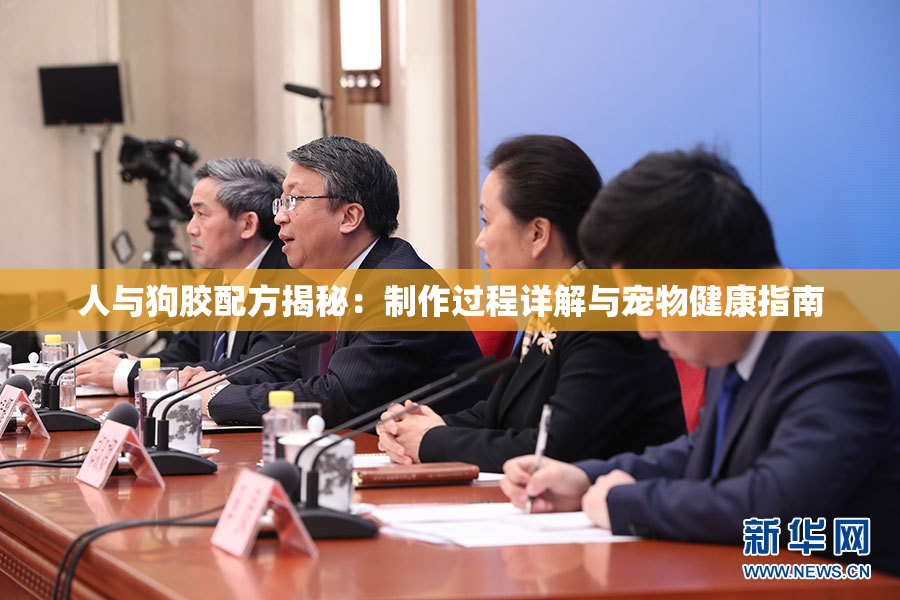 人与狗胶配方揭秘：制作过程详解与宠物健康指南