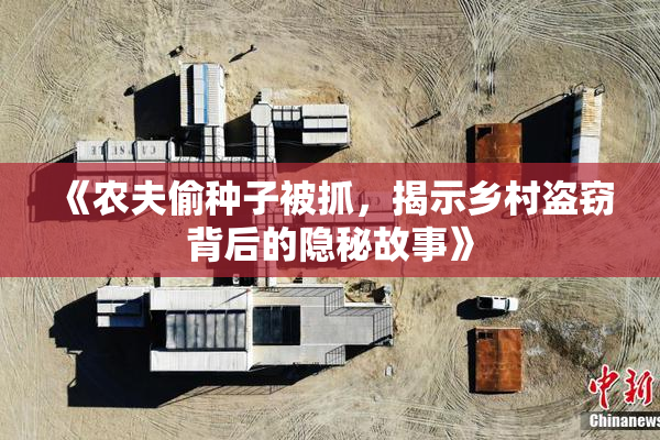 《农夫偷种子被抓，揭示乡村盗窃背后的隐秘故事》