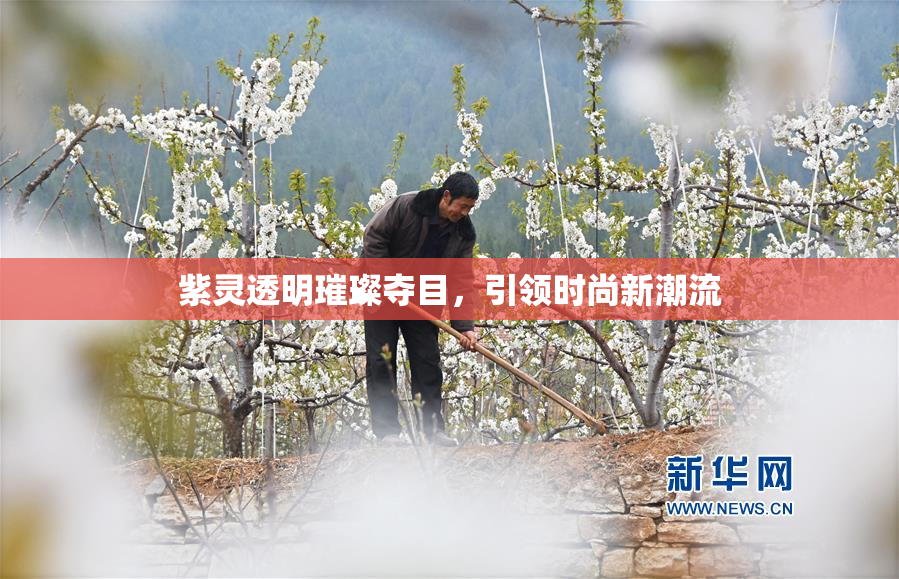 紫灵透明璀璨夺目，引领时尚新潮流