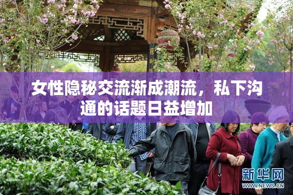 女性隐秘交流渐成潮流，私下沟通的话题日益增加