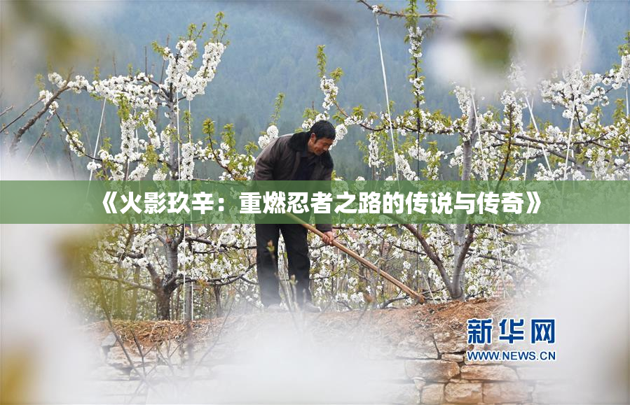《火影玖辛：重燃忍者之路的传说与传奇》