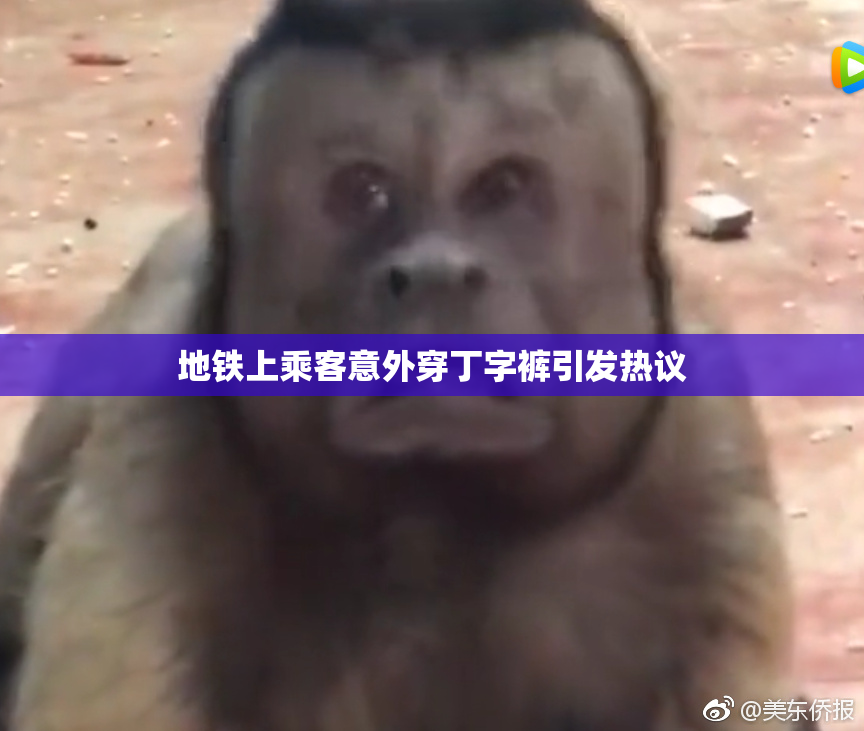 地铁上乘客意外穿丁字裤引发热议