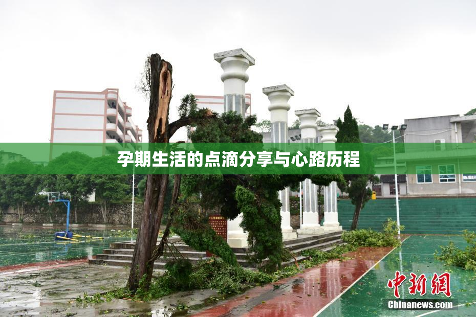 孕期生活的点滴分享与心路历程