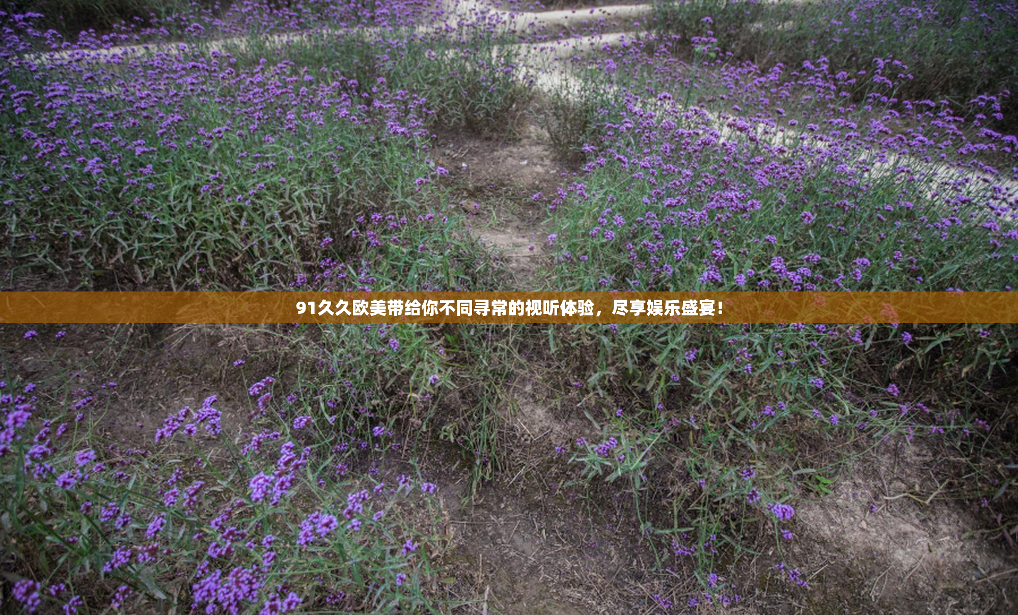 91久久欧美带给你不同寻常的视听体验，尽享娱乐盛宴！