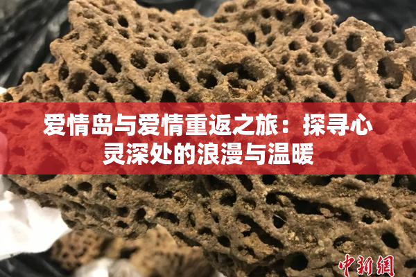 爱情岛与爱情重返之旅：探寻心灵深处的浪漫与温暖