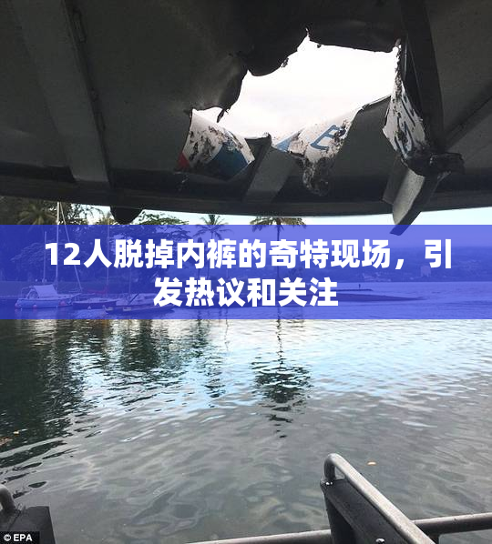 12人脱掉内裤的奇特现场，引发热议和关注