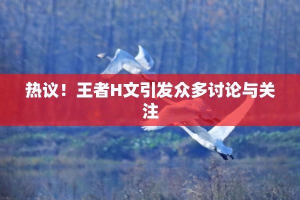 热议！王者H文引发众多讨论与关注