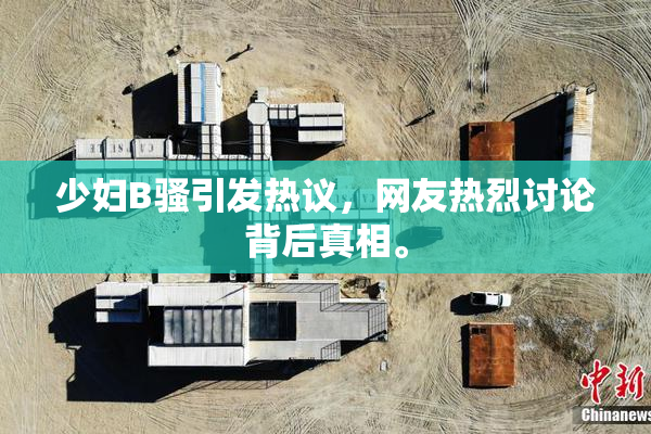 少妇B骚引发热议，网友热烈讨论背后真相。