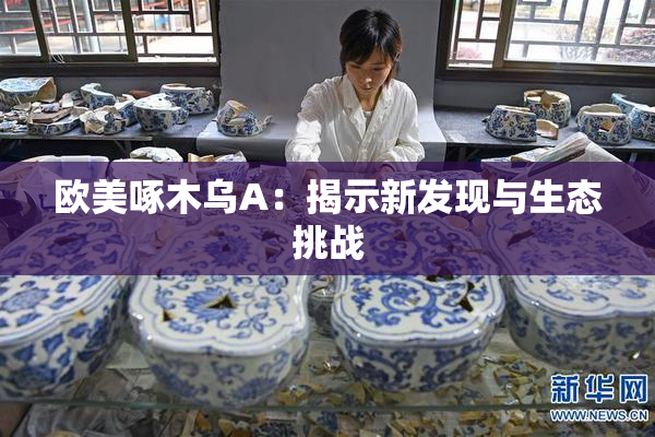 欧美啄木乌A：揭示新发现与生态挑战