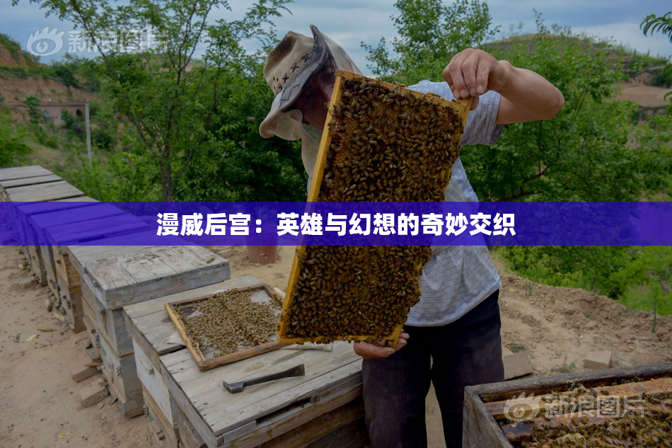 漫威后宫：英雄与幻想的奇妙交织