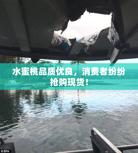 水蜜桃品质优良，消费者纷纷抢购现货！