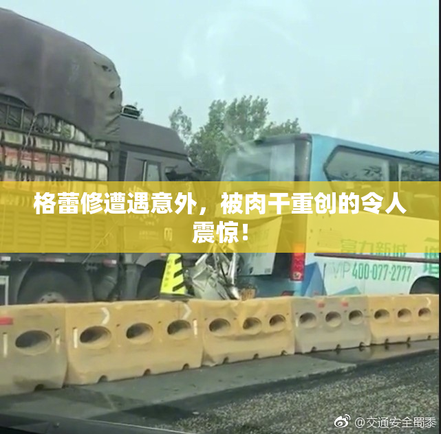 格蕾修遭遇意外，被肉干重创的令人震惊！