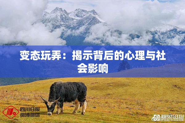 变态玩弄：揭示背后的心理与社会影响