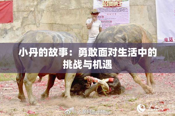 小丹的故事：勇敢面对生活中的挑战与机遇