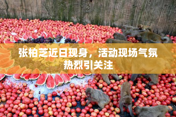 张柏芝近日现身，活动现场气氛热烈引关注