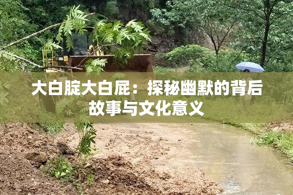 大白腚大白屁：探秘幽默的背后故事与文化意义