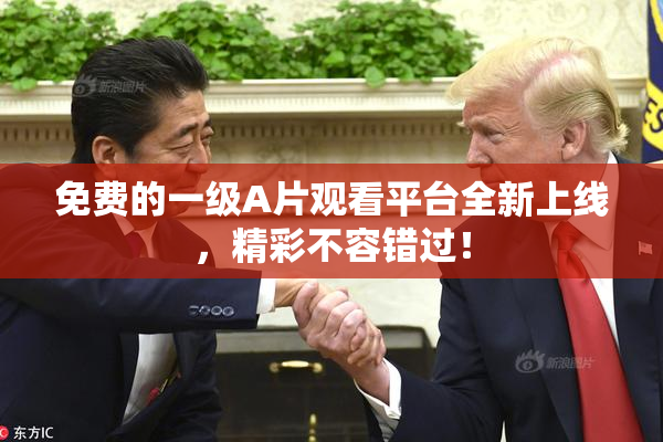 免费的一级A片观看平台全新上线，精彩不容错过！