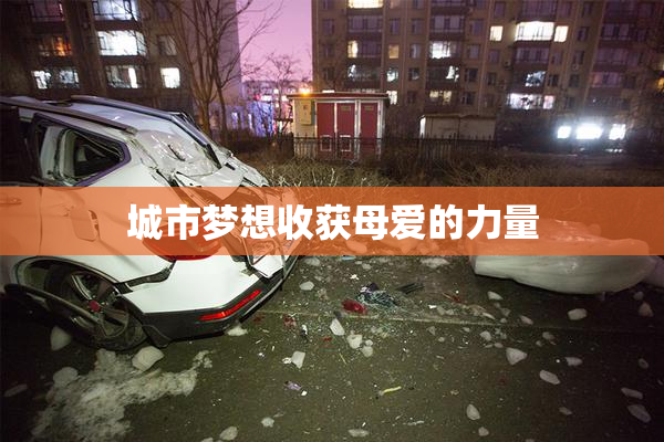 城市梦想收获母爱的力量