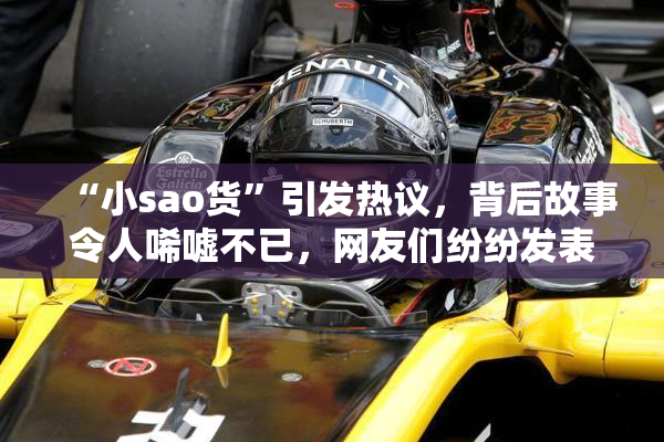 “小sao货”引发热议，背后故事令人唏嘘不已，网友们纷纷发表看法。