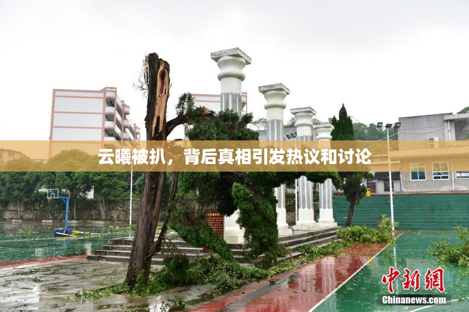 云曦被扒，背后真相引发热议和讨论
