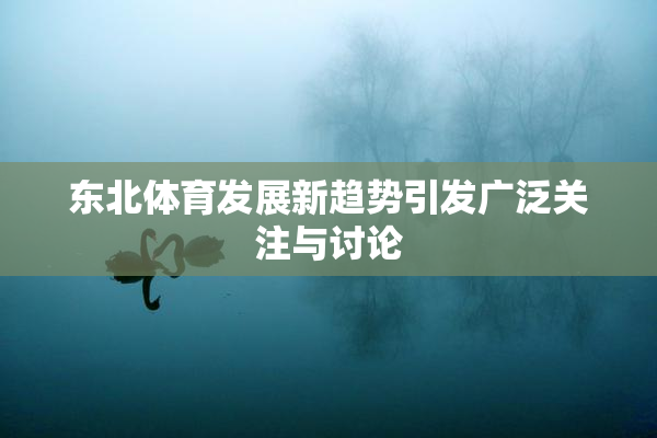东北体育发展新趋势引发广泛关注与讨论
