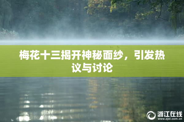 梅花十三揭开神秘面纱，引发热议与讨论