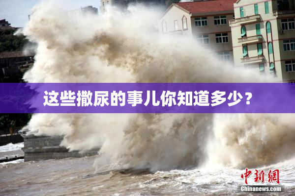 这些撒尿的事儿你知道多少？