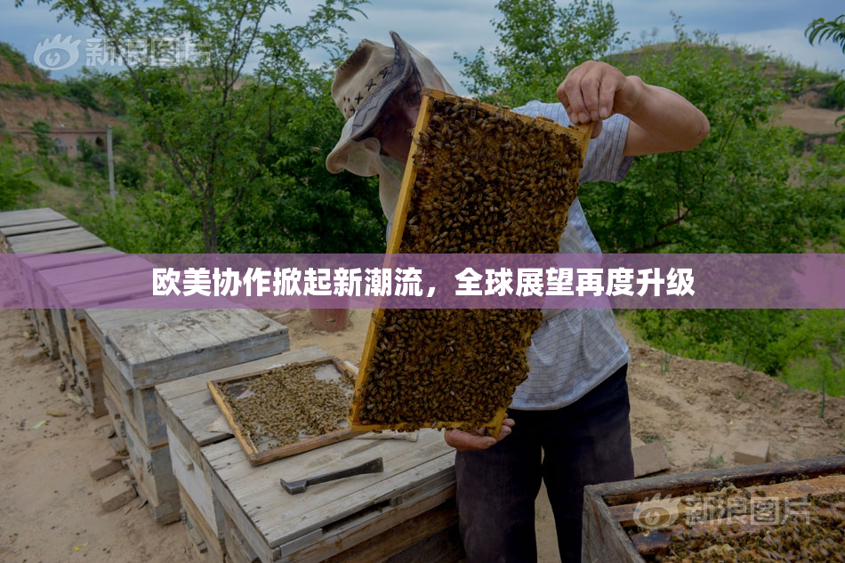 欧美协作掀起新潮流，全球展望再度升级
