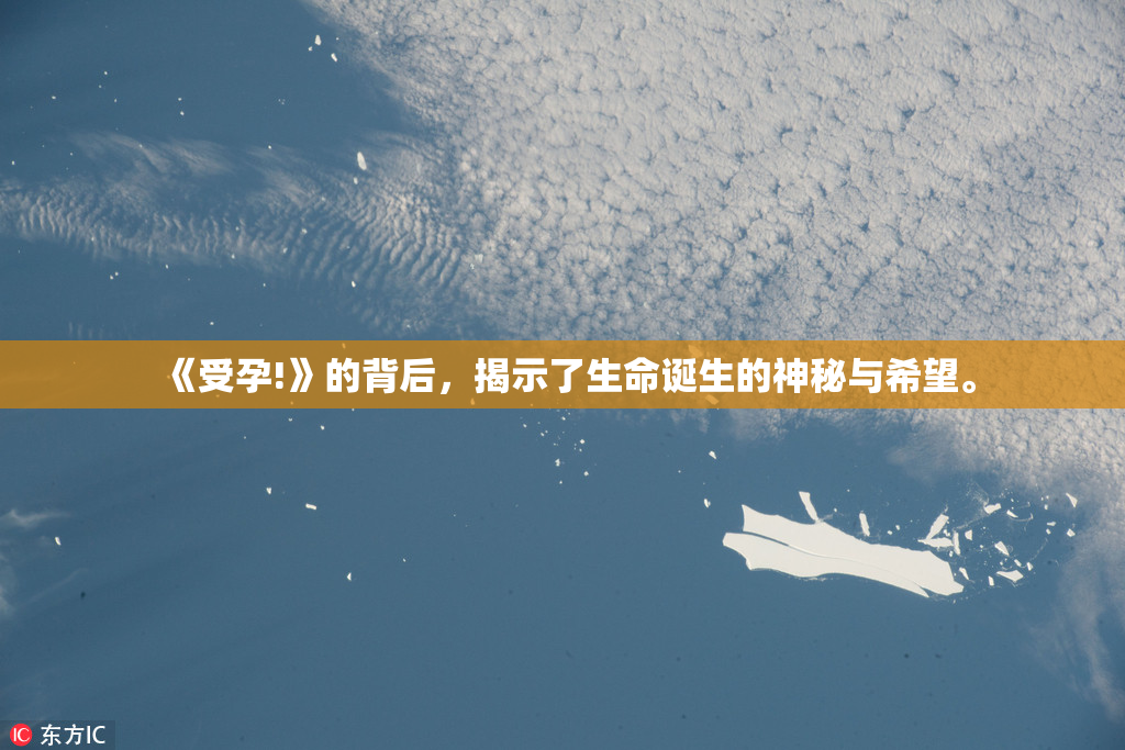 《受孕!》的背后，揭示了生命诞生的神秘与希望。