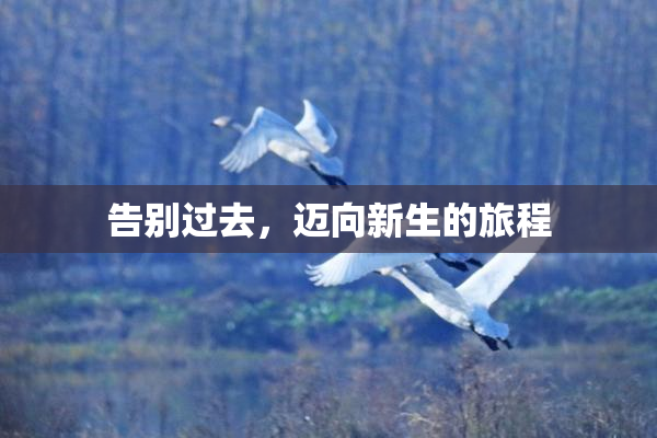 告别过去，迈向新生的旅程