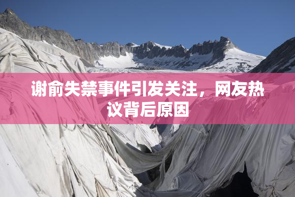 谢俞失禁事件引发关注，网友热议背后原因