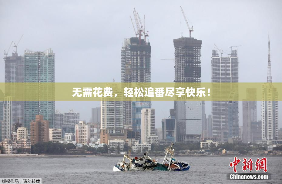 无需花费，轻松追番尽享快乐！