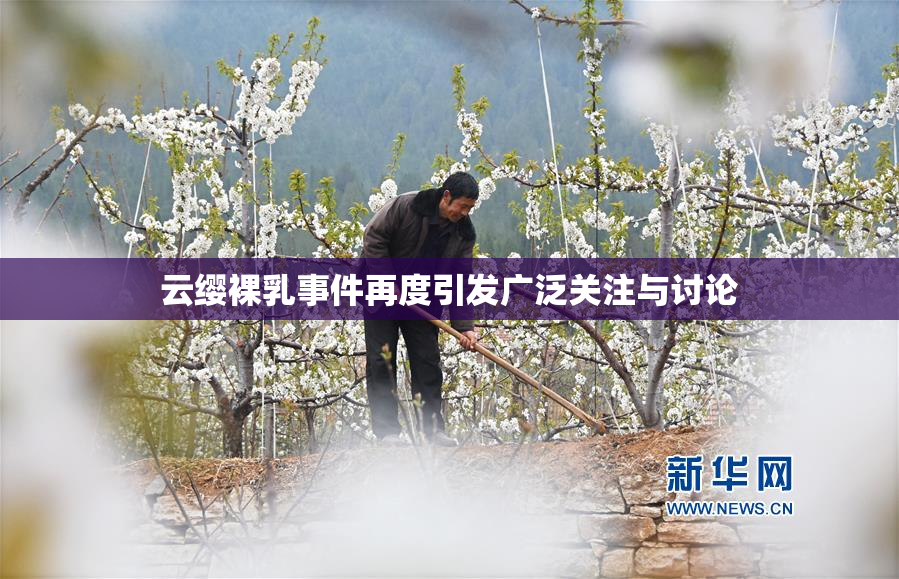 云缨裸乳事件再度引发广泛关注与讨论
