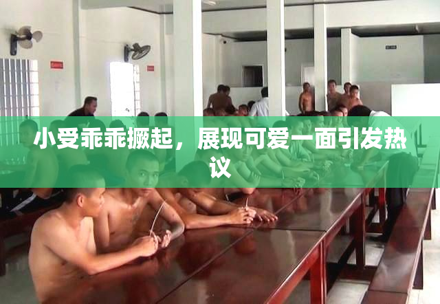 小受乖乖撅起，展现可爱一面引发热议