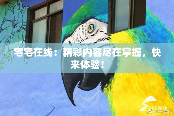 宅宅在线：精彩内容尽在掌握，快来体验！