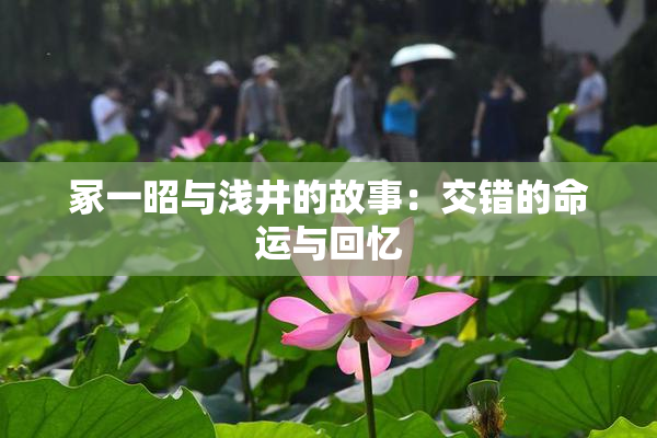 冢一昭与浅井的故事：交错的命运与回忆