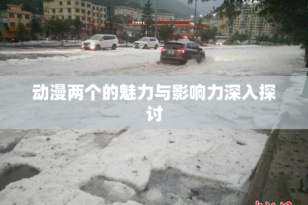 动漫两个的魅力与影响力深入探讨
