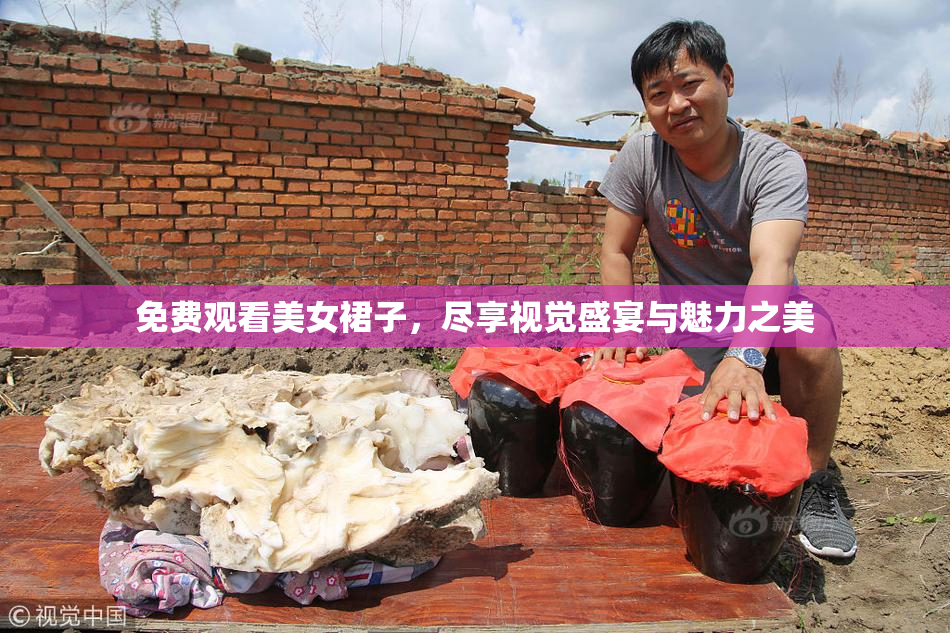 免费观看美女裙子，尽享视觉盛宴与魅力之美
