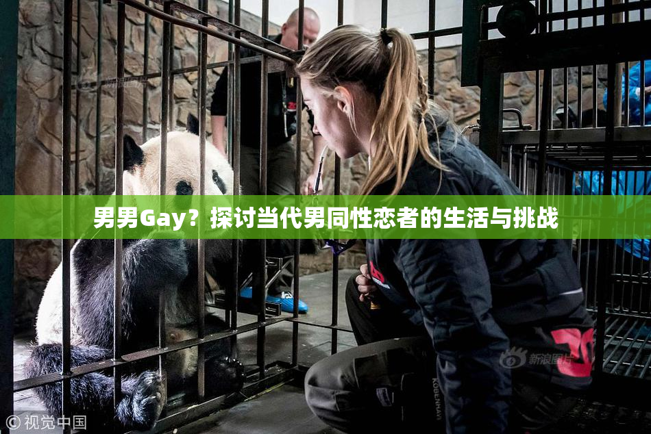 男男Gay？探讨当代男同性恋者的生活与挑战