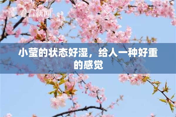 小莹的状态好湿，给人一种好重的感觉