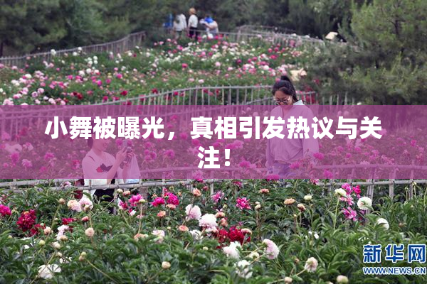 小舞被曝光，真相引发热议与关注！