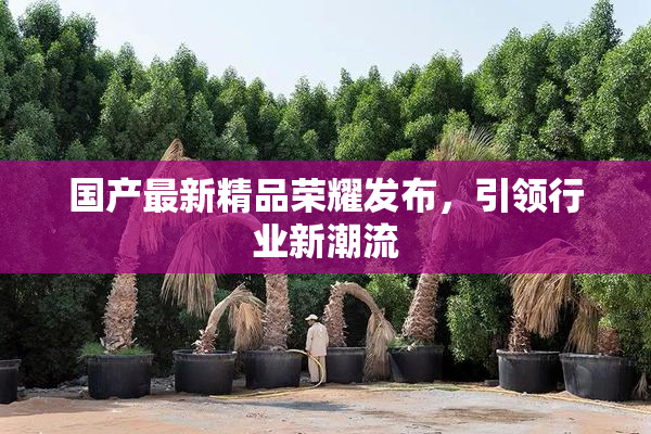 国产最新精品荣耀发布，引领行业新潮流