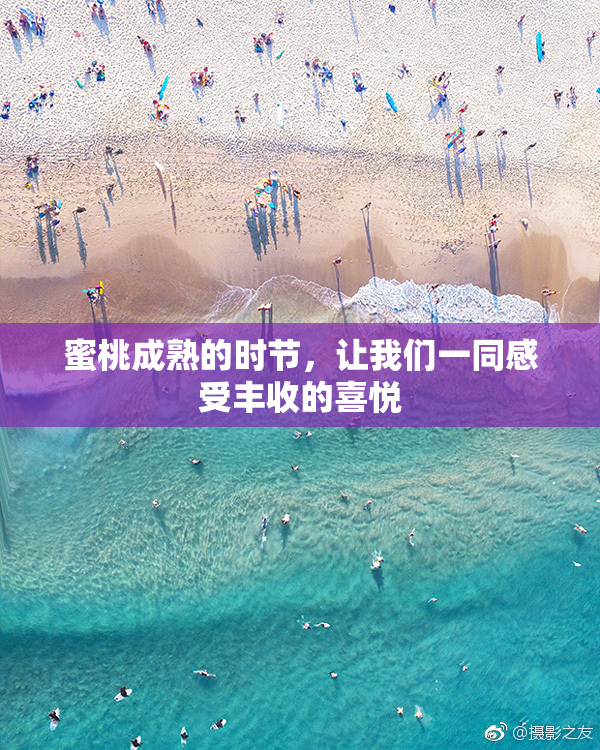 蜜桃成熟的时节，让我们一同感受丰收的喜悦