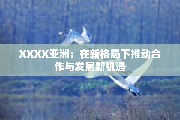 XXXX亚洲：在新格局下推动合作与发展新机遇