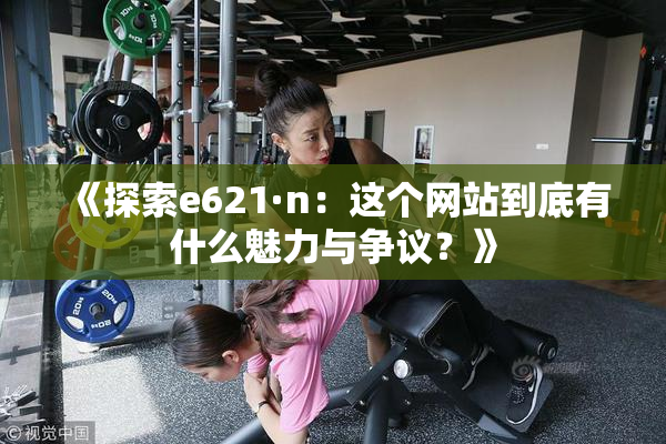 《探索e621·n：这个网站到底有什么魅力与争议？》