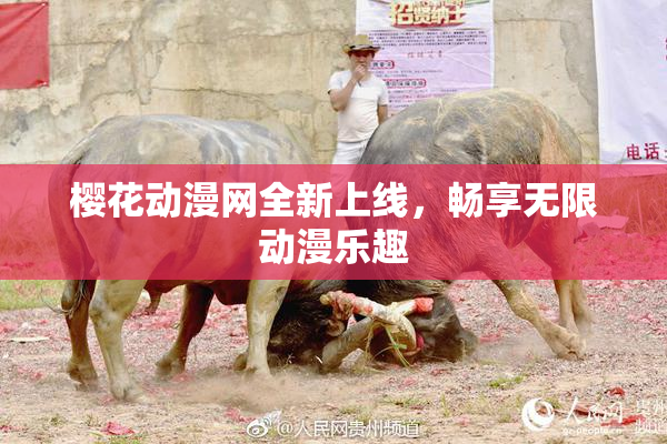 樱花动漫网全新上线，畅享无限动漫乐趣