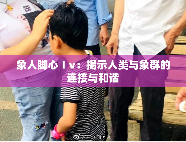 象人脚心Ⅰv：揭示人类与象群的连接与和谐